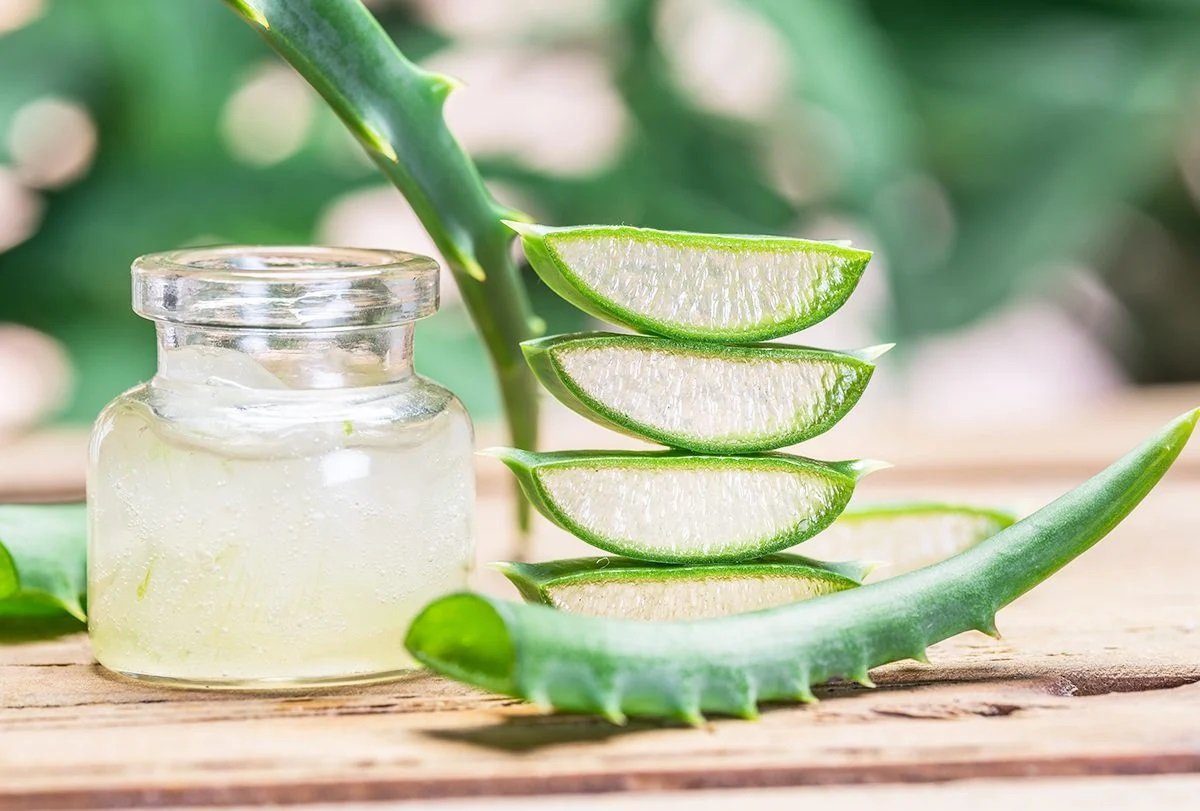 ¿Qué es el aloe vera y para qué sirve? Beneficios y usos de esta planta milagrosa