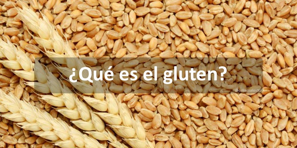 El gluten es una familia de proteínas de almacenamiento que se encuentra en granos de cereales como el trigo, la cebada y el centeno.