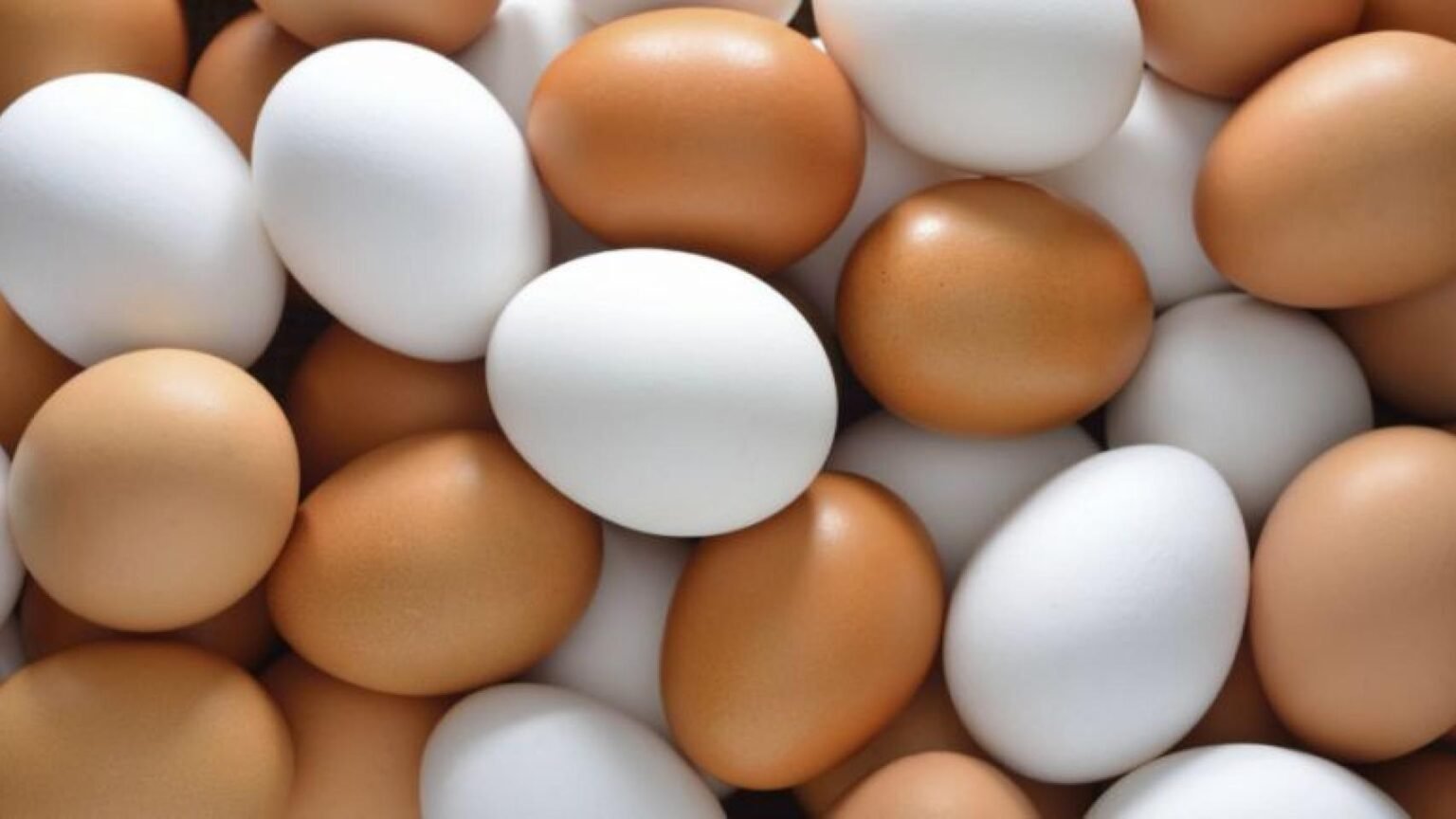 Top 3 Marcas de Huevos en México para una Alimentación Saludable y Segura