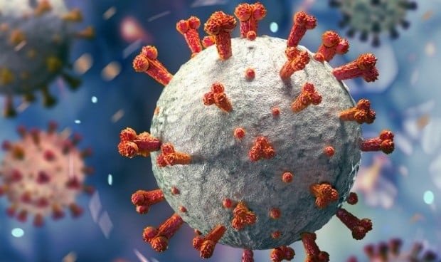 . El virus de Marburgo, conocido por su alta tasa de mortalidad y similitudes con el Ébola, ha encendido las alarmas tanto a nivel regional como global.